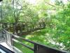 IMG_20140509_164059.jpg