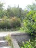 IMG_20140509_174336.jpg