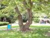 IMG_20140501_151655.jpg