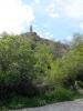 IMG_20140509_174247.jpg