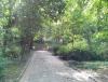 IMG_20140509_172459.jpg