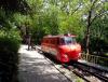 IMG_20140509_162458.jpg