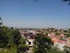 IMG_20140507_164459.jpg