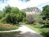 IMG_20140509_145600.jpg