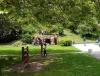 IMG_20140501_151700.jpg