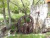 IMG_20140501_145042.jpg
