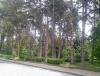 IMG_20140501_142732.jpg