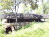 IMG_20140508_154939.jpg