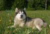 DSC07330.JPG