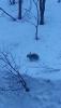 IMG-20150506-WA0002.jpeg
