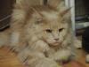 DSCN4848.jpg