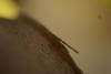 DSC02399.JPG