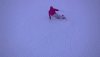2.gif