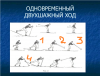 физз.png