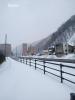 IMG_20240319_063255.jpg