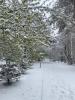 IMG-20240504-WA0000.jpg