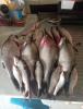 IMG-20250527-WA0000.jpg