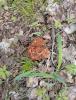IMG-20250505-WA0003.jpg