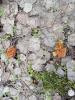 IMG-20250505-WA0001.jpg