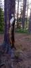 IMG-20240729-WA0012.jpg