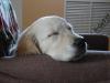 DSC03622.JPG