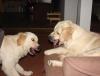 DSC03989_.JPG