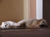 DSC03995_.JPG