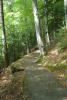 DSC01497.jpg