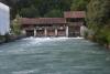 DSC01250.JPG