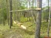 DSC00877.JPG