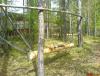 DSC00878.JPG
