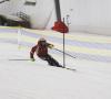 Instr_E_Snej_2009_Slalom_2.jpg