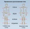 body_alignment_ru.jpg
