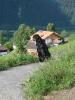 DSC03066.JPG