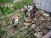 DSC07410.JPG
