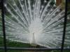 DSC07402.JPG