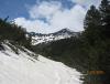 IMG_6853.jpg