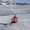 5b1ec3502e657_.gif