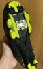 IMG_5344.jpeg