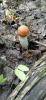 IMG-20240630-WA0002.jpg