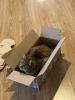 IMG-20230614-WA0021.jpg