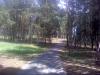 03_07_08_1529.jpg