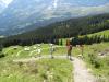 DSC00433.JPG