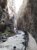 DSC00459.JPG
