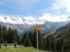 DSC00639.JPG