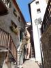 DSC00664.JPG