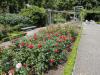 DSC00779.JPG