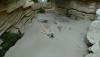 DSC00789.JPG