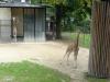 DSC00862.JPG