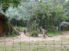 DSC00874.JPG